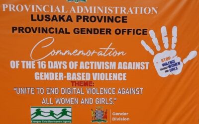 HRC calls for bold action on GBV, early marriages as 16 Days of activism begins