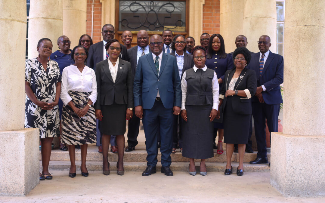 Chief Justice says judicial efficiency serves human rights