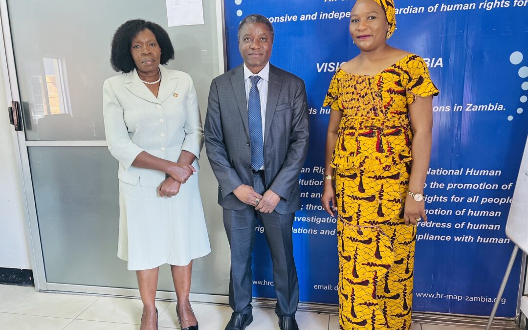 UN advises Zambia to effectively combat hate Speech