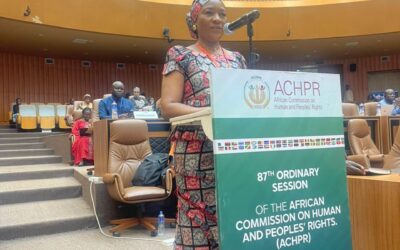 HRC-Z Chairperson calls for balancing human rights and security concerns