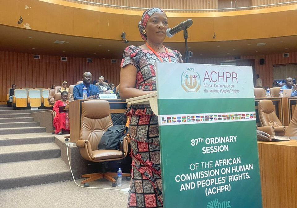 HRC-Z Chairperson calls for balancing human rights and security concerns